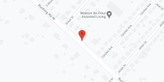 Amera Of Denham Springs in google map