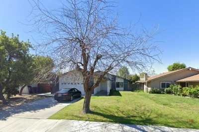 Photo of Rose Blossom