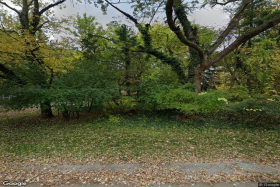 Photo of Treetop Adult Care