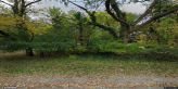 street view of Treetop Adult Care