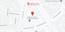 Grace Care Center At Northpointe in google map