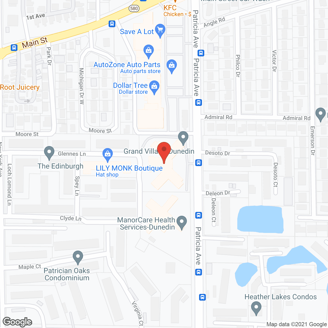 Salterra Senior Living at Dunedin in google map