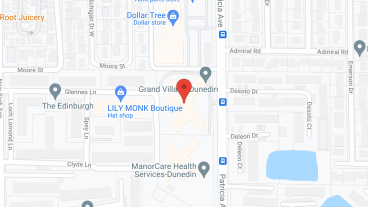 Salterra Senior Living at Dunedin in google map