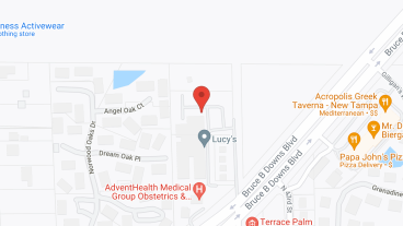 Angels Senior Living At New Tampa LLC in google map