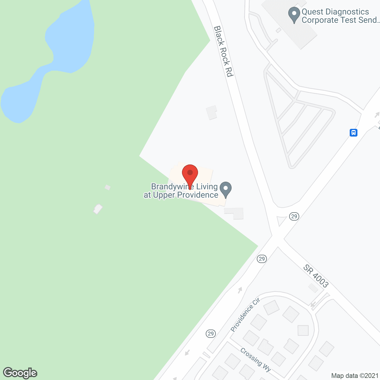 Brandywine Upper Providence by Monarch in google map