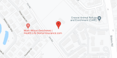 Lynridge of San Antonio in google map