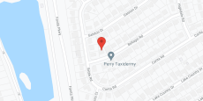 Angels Guest Home #1 in google map