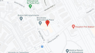 Hampton Willowbrook Healthcare Center in google map