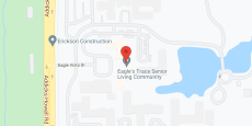 Eagle's Trace in google map