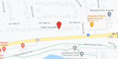 Lake View AFH LLC in google map