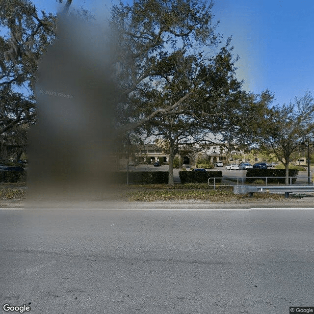 street view of The Preserve at Dunedin