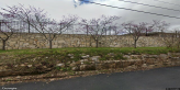 street view of Seasons Memory Care at Stone Oak