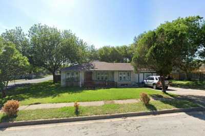 Photo of Live Oaks