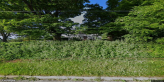 street view of Milestones Adult Group Home