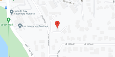 Shumway Mansion II in google map