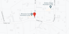 Wholehearted Memory Care at Leon Springs in google map
