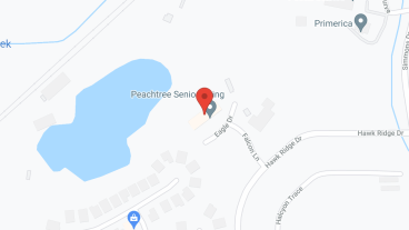 Salterra Senior Living at Peachtree in google map