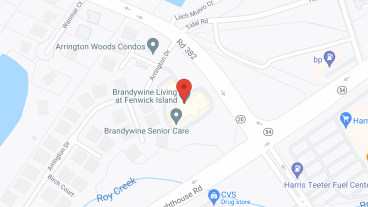Brandywine Fenwick Island by Monarch in google map