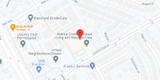 Walnut Creek in google map