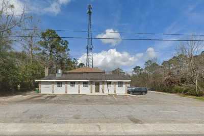 Photo of Golden Oak