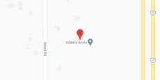 Addie's Place in google map