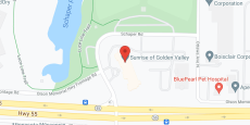 New Perspective Golden Valley in google map