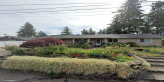 street view of MG Adult Family Home