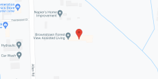 Brownstown Forest View Assisted Living in google map