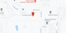 Orchard Pointe by Cogir in google map