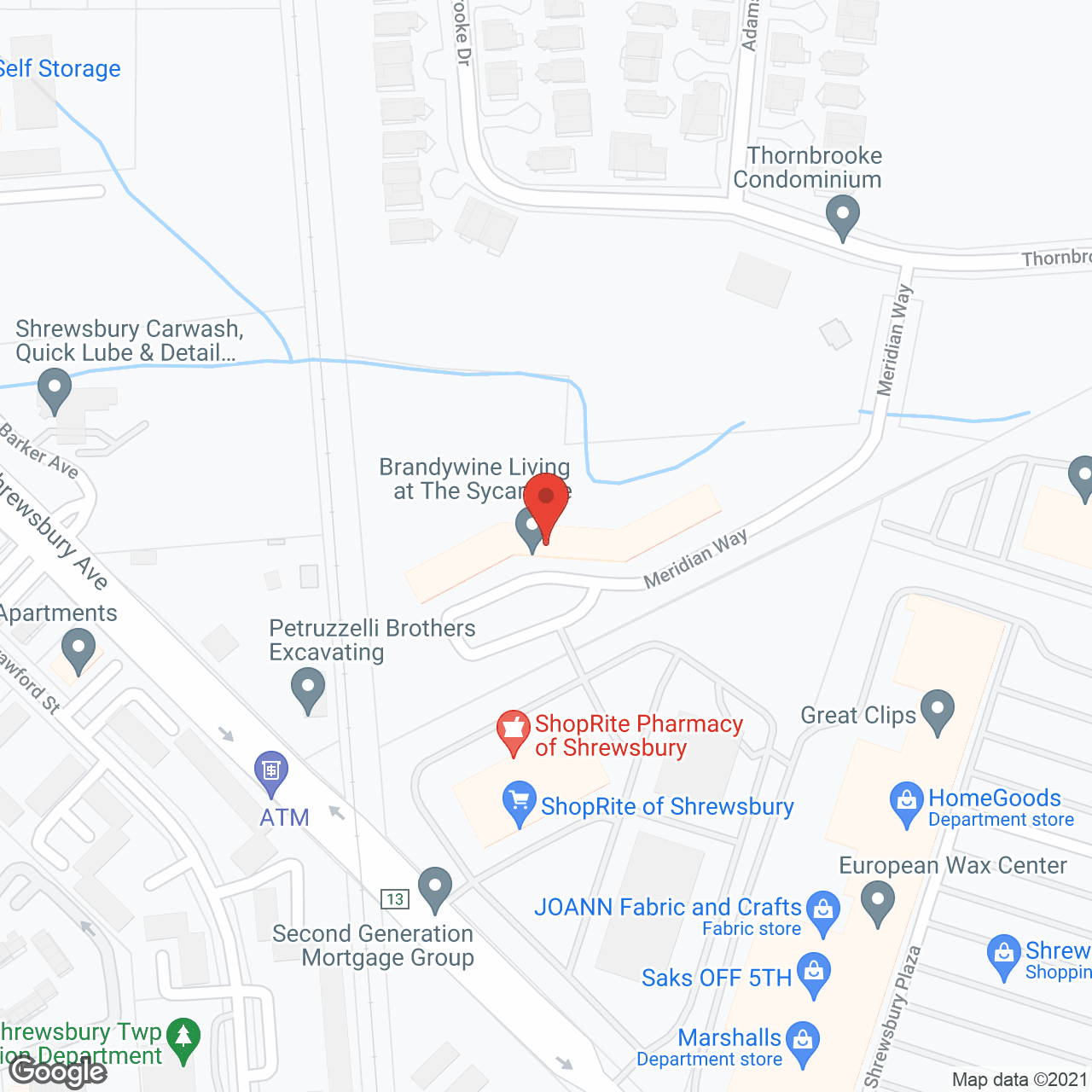 Brandywine Sycamore by Monarch in google map