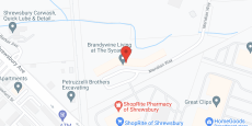 Brandywine Sycamore by Monarch in google map