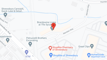 Brandywine Sycamore by Monarch in google map