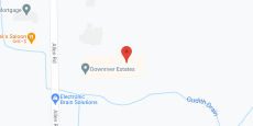 Downriver Estates Senior Living in google map