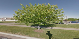 street view of Homestead Assisted Living of Baldwin City