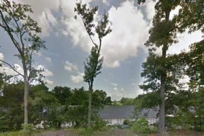 Photo of Olive Branch