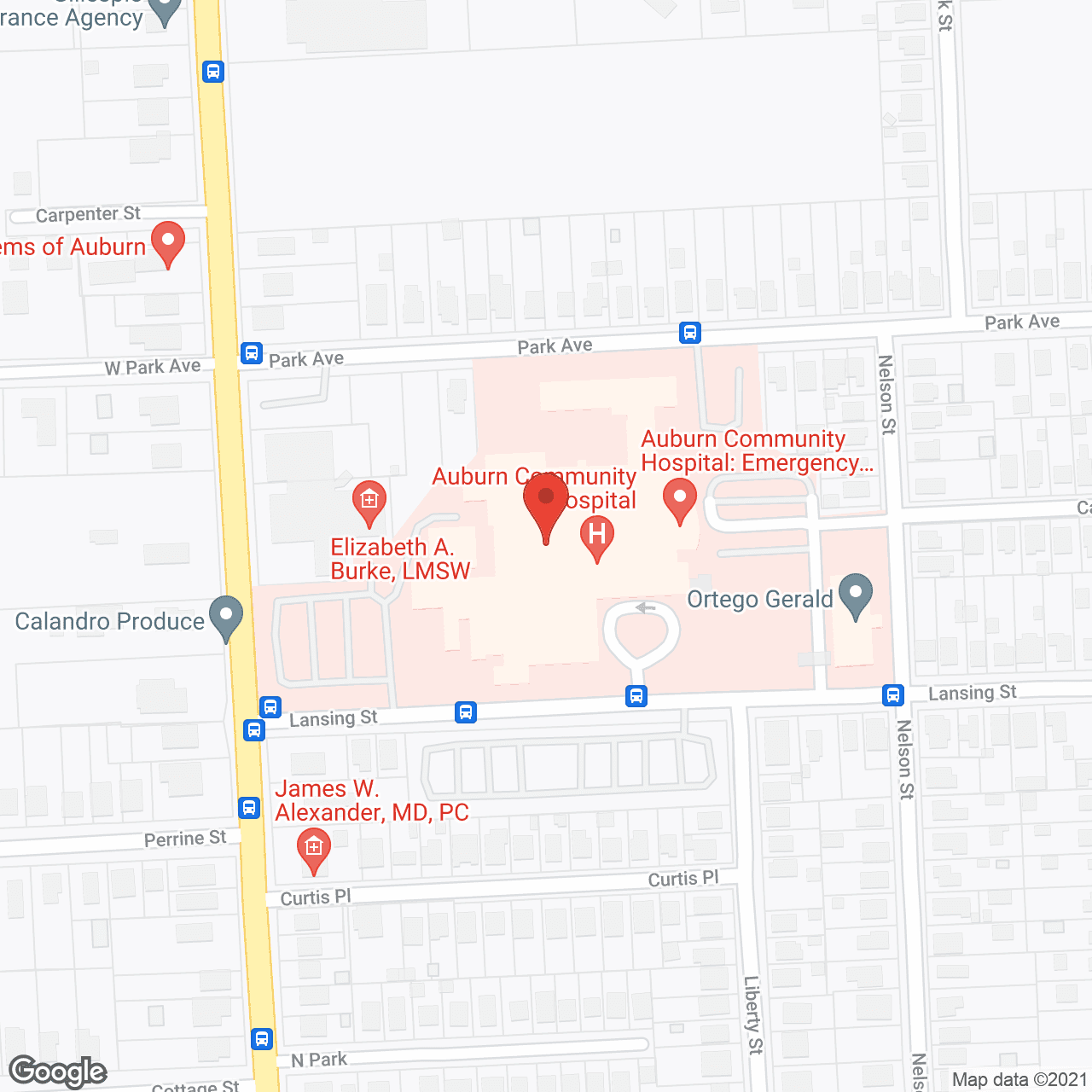 Finger Lakes Center For Living in google map