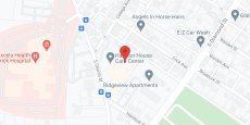 The Villages of Harmon House in google map