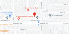 Discovery Commons Whittier in google map