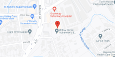 Willow Creek Memory Care in google map