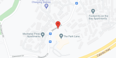 The Park Lane in google map