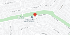 Silverleaf Eldercare of Anderson Mill in google map