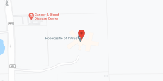 Compass Rose of Lecanto in google map