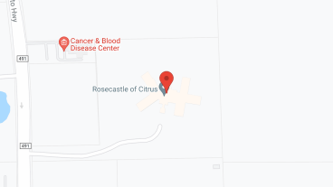 Compass Rose of Lecanto in google map