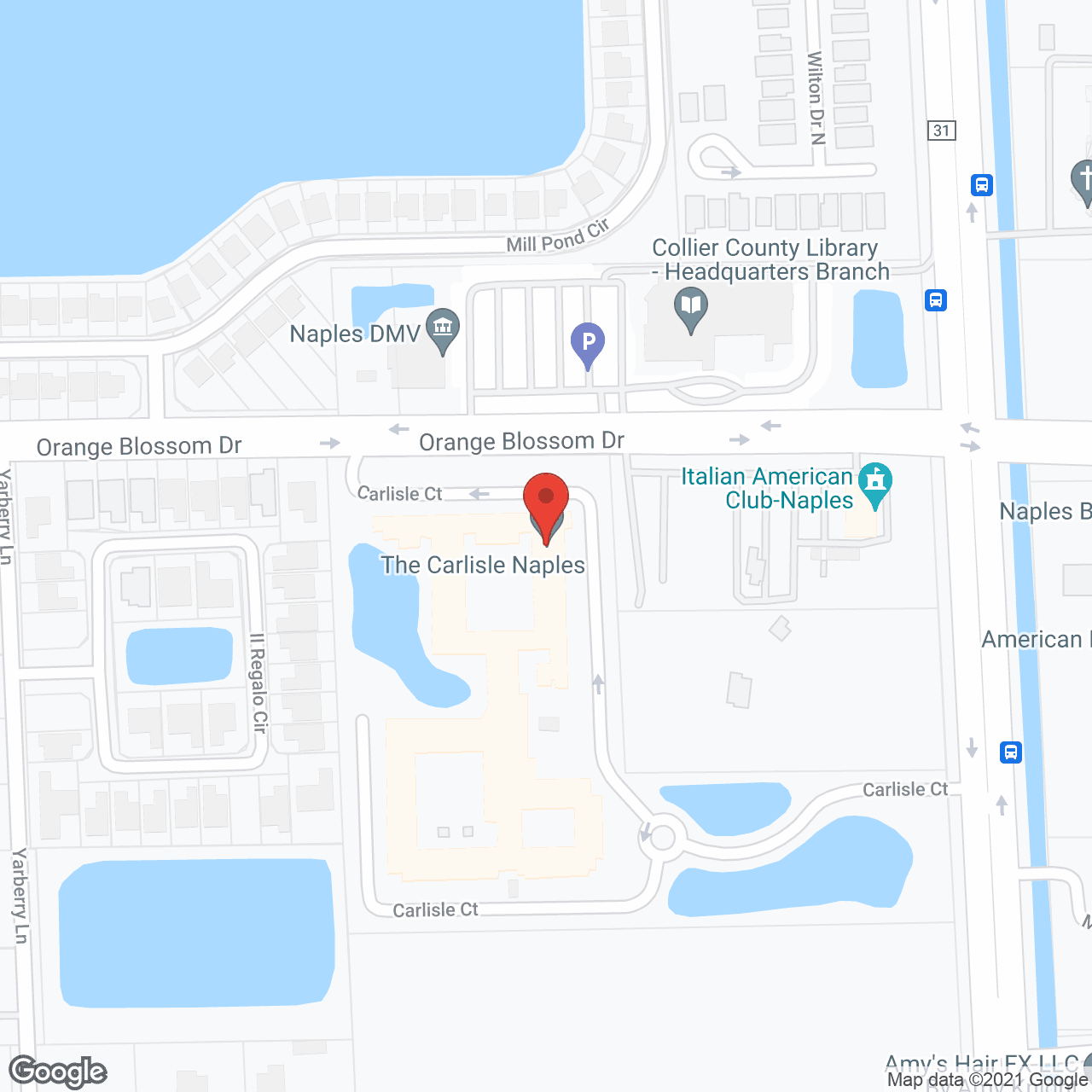 The Carlisle Naples in google map