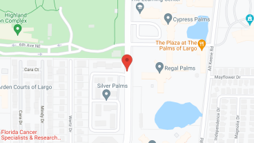 The Palms of Largo in google map