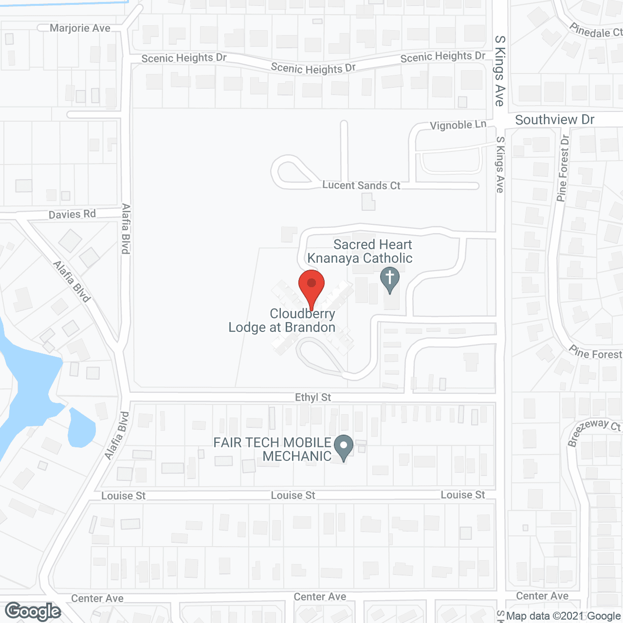 Caring Heart Tampa in google map