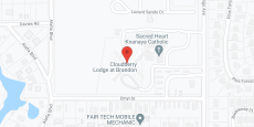 Caring Heart Tampa in google map