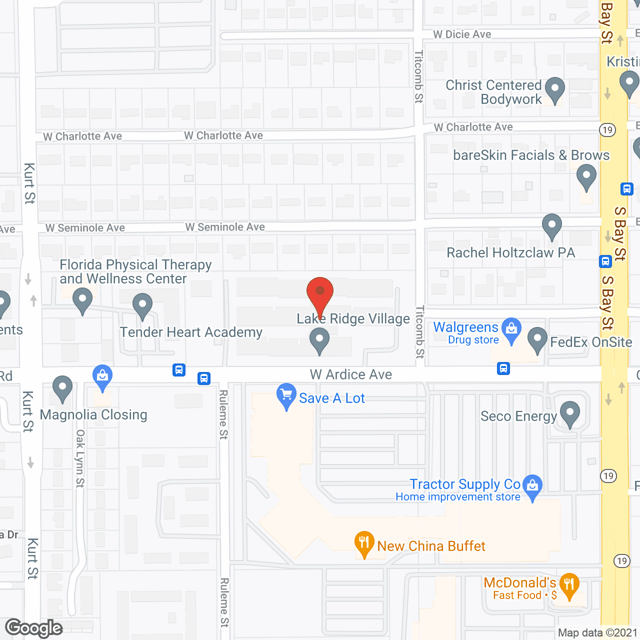 Lake Ridge Village in google map