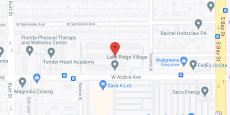 Lake Ridge Village in google map