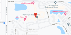 The Village at Gainesville in google map